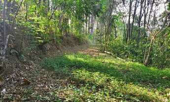 Imagem 5: Sítio em Rodovia Capitão Barduíno - Curitibanos - Bragança Paulista/SP