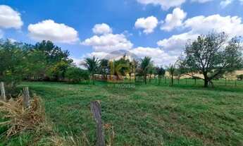 Imagem 5: CEDRAL (SP) Sítio com 2 alqueires