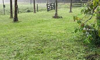 Imagem 3: FAZENDA 688 HECTARES MUNICÍPIO DE BRAGANAÇA PARÁ
