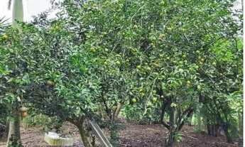 Imagem 5: Venda-se está propriedade 4,29 litros 840 m² no Município de Atílio Vivacqua /ES