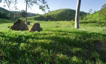 Imagem 3: Venda-se está fazenda de 138 alqueires no Estado do Rio de Janeiro/RJ