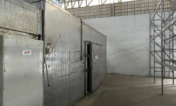 Imagem 2: Galpão/Depósito/Armazém para aluguel possui 2150 m2 com câmara frigorífica e docas