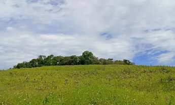 Imagem: Lotes em Ibiúna com 1000m² Perfeitos para