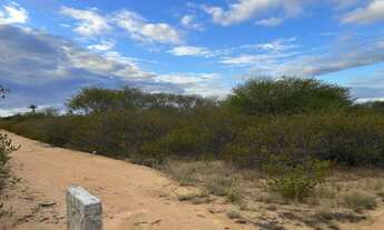 Imagem 6: Terra para sítio na beira do asfalto