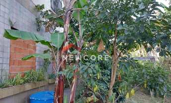 Imagem 6: Lote em Rua Padre Saboya de Medeiros - Planalto - São Bernardo do Campo/SP