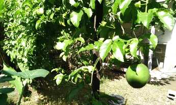 Imagem 4: Vende se Lote com Casa Simples