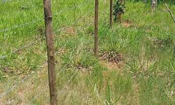 Imagem 2: Vendo uma chácara de 1000 MTS