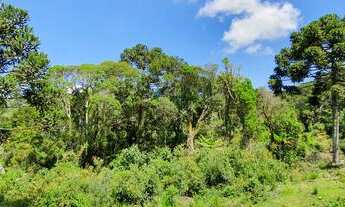 Imagem 3: Sítio em Urubici/ chácara em Urubici
