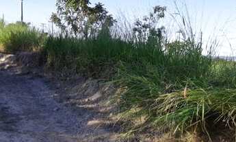 Imagem 3: Lote com 366 m² apenas R$ 28.000,00