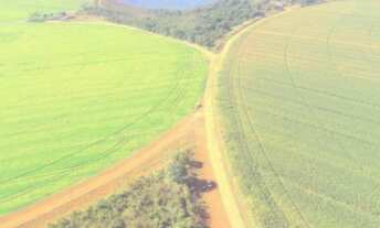 Imagem 4: Fazenda em Paracatu-MG, 2.200 hectares