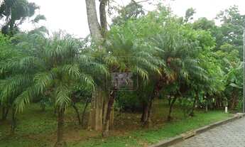 Imagem 5: Terreno - Sambaqui - Florianópolis