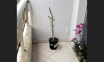 Imagem 7: LINDO APTO DE 110m² NO MIOLO DO IPIRANGA BEM PRÓXIMO DO MUSEU COM: 3 DORMS SENDO 1 SUÍTE