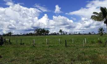 Imagem: Fazenda 170 alqueires Região de Candeias