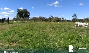 Imagem 3: Fazenda com dupla aptidão e 2.812,04 hectares na região de Itacajá - TO