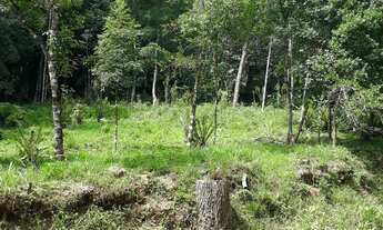 Imagem 2: Sítio em Igrejinha dívisa com Gramado