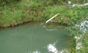 Imagem 4: Chácara de 20.307 m² no centro de Delfim Moreira- Sul de Minas Gerais