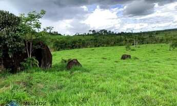 Imagem 4: Fazenda 210 alqueires Machadinho D' Oeste