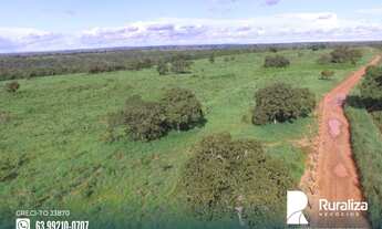 Imagem 3: Fazenda com dupla aptidão na região do Vale do Araguaia-TO