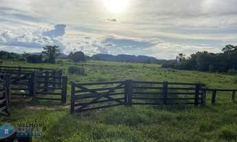 Imagem 2: Sítio 40 alqueires Região Jorge Teixeira