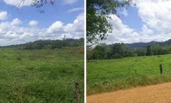 Imagem 6: FAZENDA RURAL em PAU BRASIL - BA, BA - 251