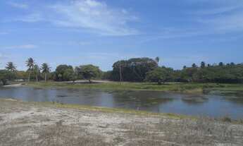 Imagem 7: CAUCAIA - Terreno Padrão - Jacarandá