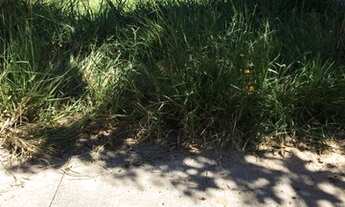 Imagem 3: Lote 360 m2 Terreno / lote com venda por R$60.000