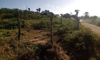 Imagem 5: Terrenos Conjunto de 4 lotes 1000 m2 esquina da fazenda tapera Cabaceiras do Paraguaçu