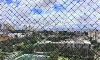 Imagem 2: SãO PAULO - Padrão - Vila Arapuã