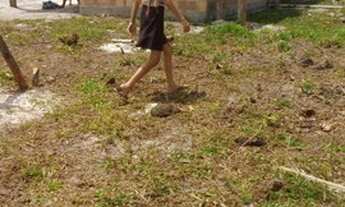 Imagem 14: FAZENDA RURAL em SANTA CRUZ CABRÁLIA - BA, R. Estr. Velha