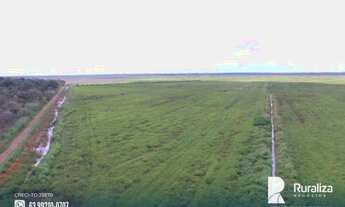 Imagem 9: Fazenda de projeto irrigado por controle de lençol freático na Lagoa da Confunsão - TO