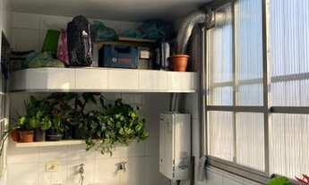 Imagem 5: SãO PAULO - Padrão - Pinheiros