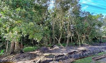 Imagem 5: Terreno em Boracéia