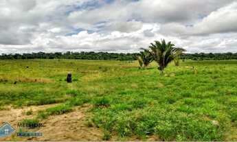 Imagem: Fazenda 140 alqueires Machadinho D x27
