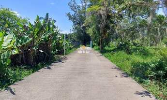 Imagem 2: FLORIANóPOLIS - Sítio - Ratones