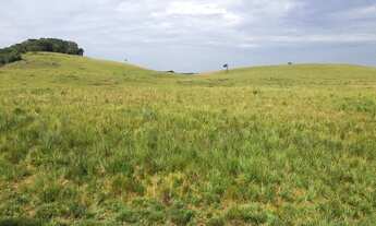 Imagem 3: CHÁCARAS RINCÃO DAS FLORES - CAXIAS - PRÓXIMO ROTA DO SOL