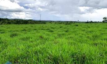 Imagem 7: Fazenda 210 alqueires Machadinho D' Oeste