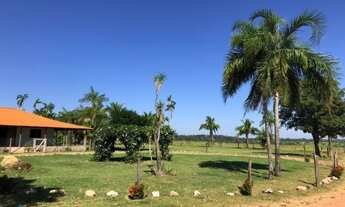 Imagem 3: Fazenda 1350 alqueires Região de Parecis