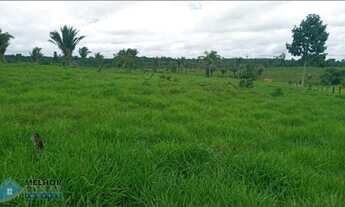 Imagem: Sítio 82 Alqueires Machadinho D Oeste