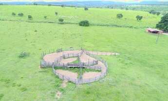 Imagem 6: Fazenda de 100 hectares em Terenos - MS