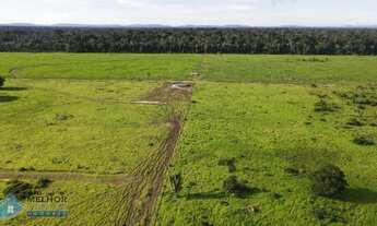 Imagem: Fazenda 398 Alqueires Região de Guajará