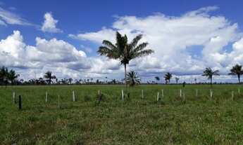 Imagem 4: Fazenda 170 alqueires Região de Candeias do Jamari