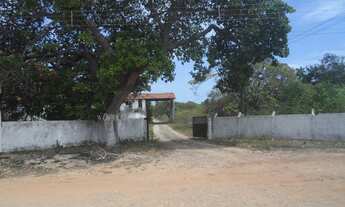 Imagem 2: CAUCAIA - Terreno Padrão - Jacarandá