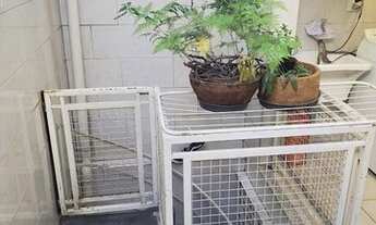 Imagem 6: São Paulo - Casa Padrão - Jardim Maria Duarte