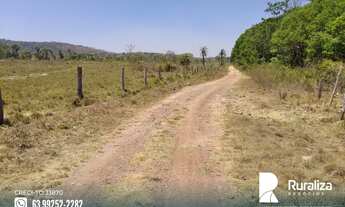 Imagem 15: Fazenda no Vale do Araguaia -TO para exploração agrícola e pecuária
