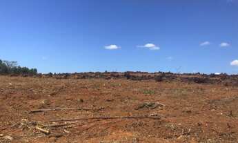 Imagem: 282 hectares lavoura