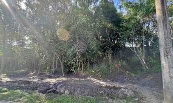 Imagem 2: Terreno em Boracéia