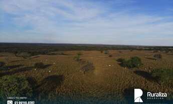 Imagem 6: Fazenda bem estruturada para grandes investidores com 4.781,92 hectares no Vale do Araguai