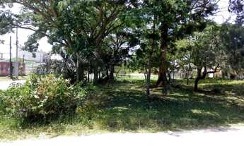 Imagem 4: PELOTAS - Terreno Padrão - Três Vendas