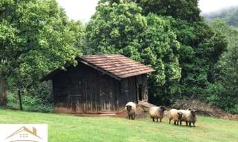 Imagem 5: Sítio na Linha Imperial. Nova Petrópolis RS. Ref.:679