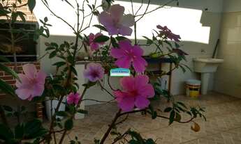 Imagem 4: SãO PAULO - Casa Padrão - Jardim Marisa